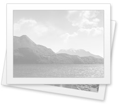 Close-up view of a woman's bare pussy from behind