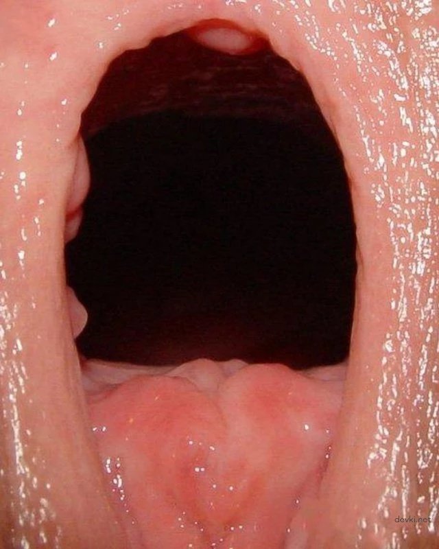 They filmed the pussy very close-up