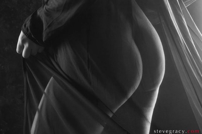 Regal Splendor Unveiled