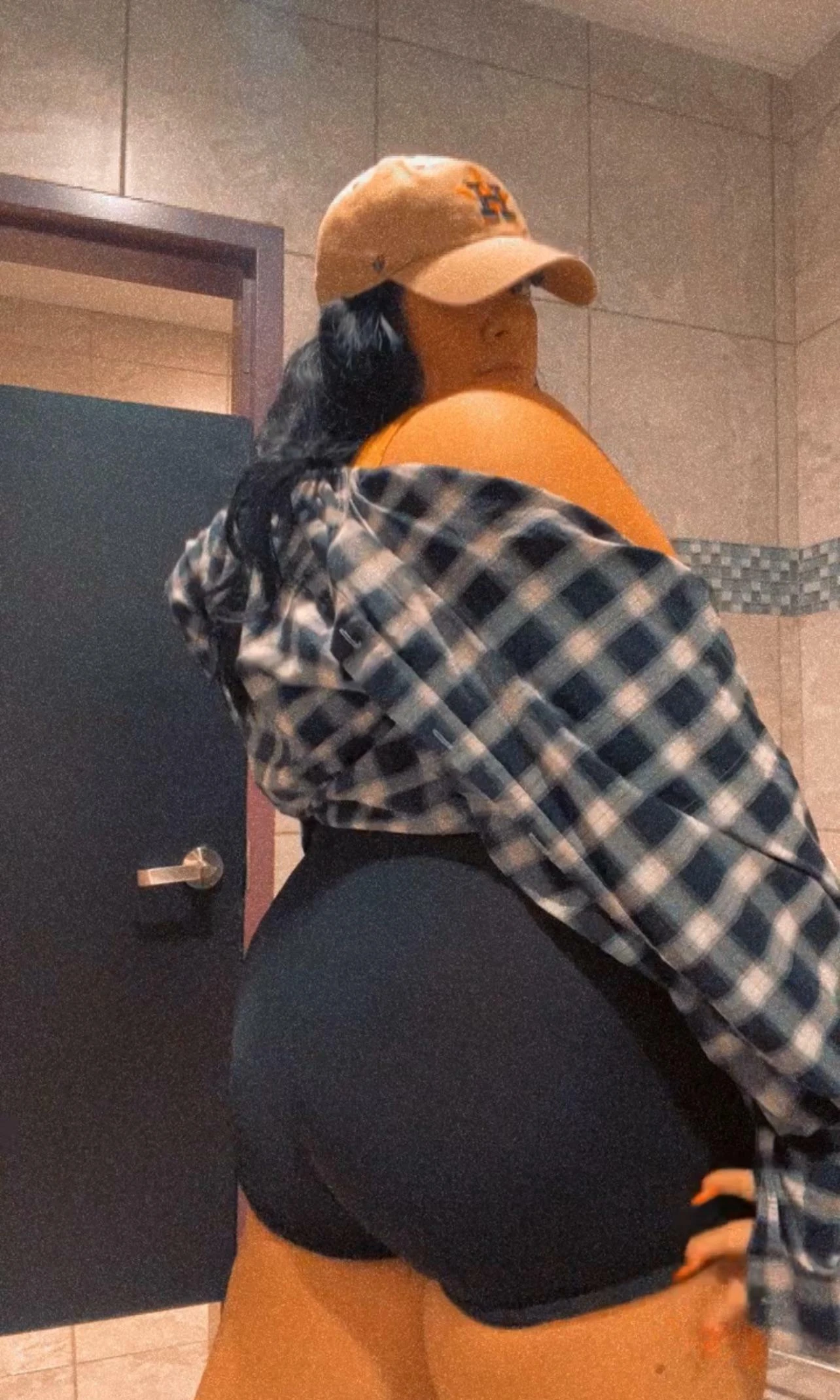 Majestic Stallion With a Thick Build